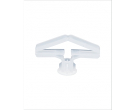 Tắc kê bướm 02